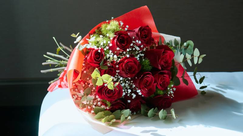 romantic-escape-u-visionary-roma-rose